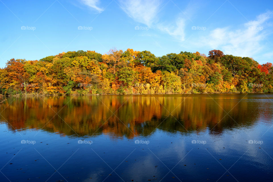 Autumn forest reflecting in lake