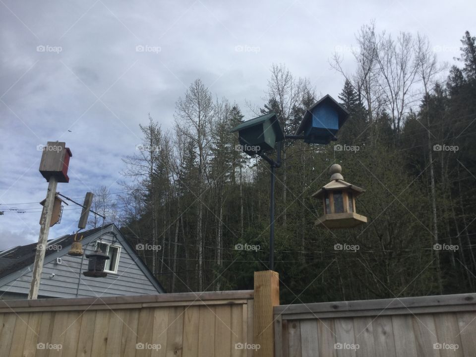 Birdhouses in the garden 