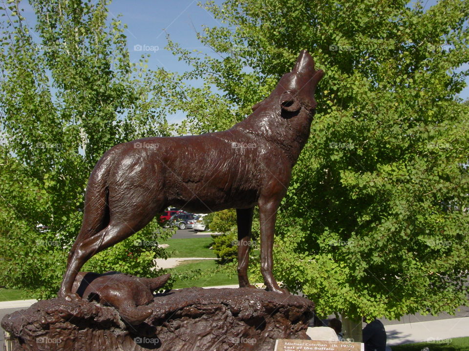 wolf. statue of wolf
