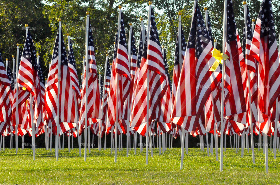 Flags