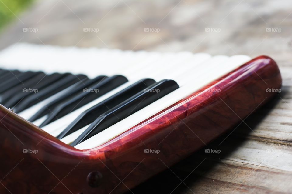 closeup of a accordian keyboard. accordian keyboard closeup