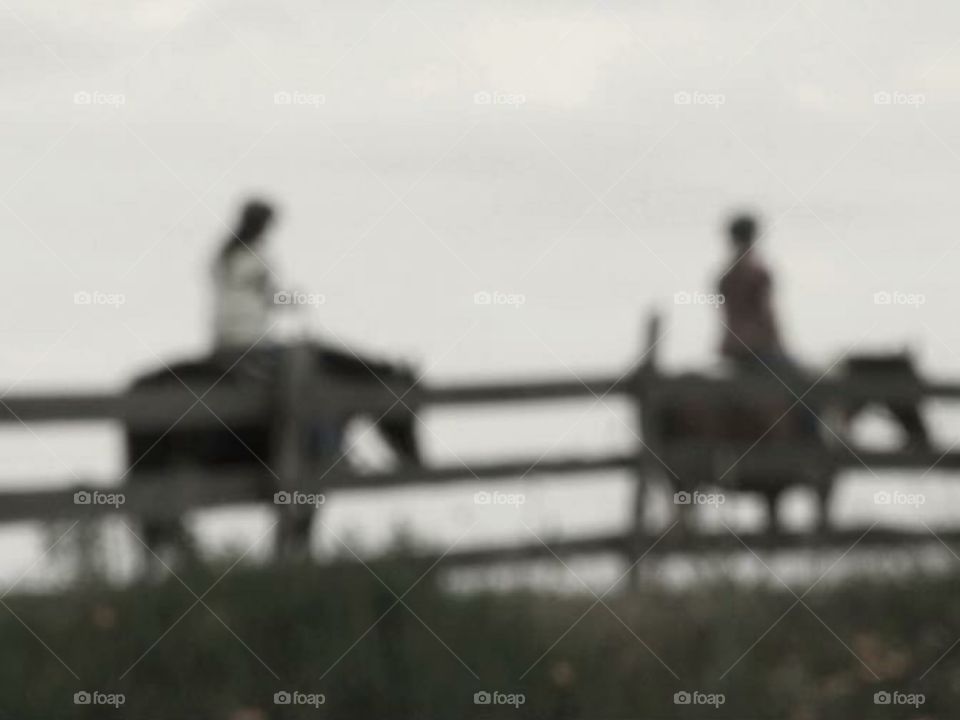 Horseback riding - silhouettes 