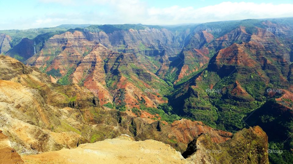 High angle view of nature