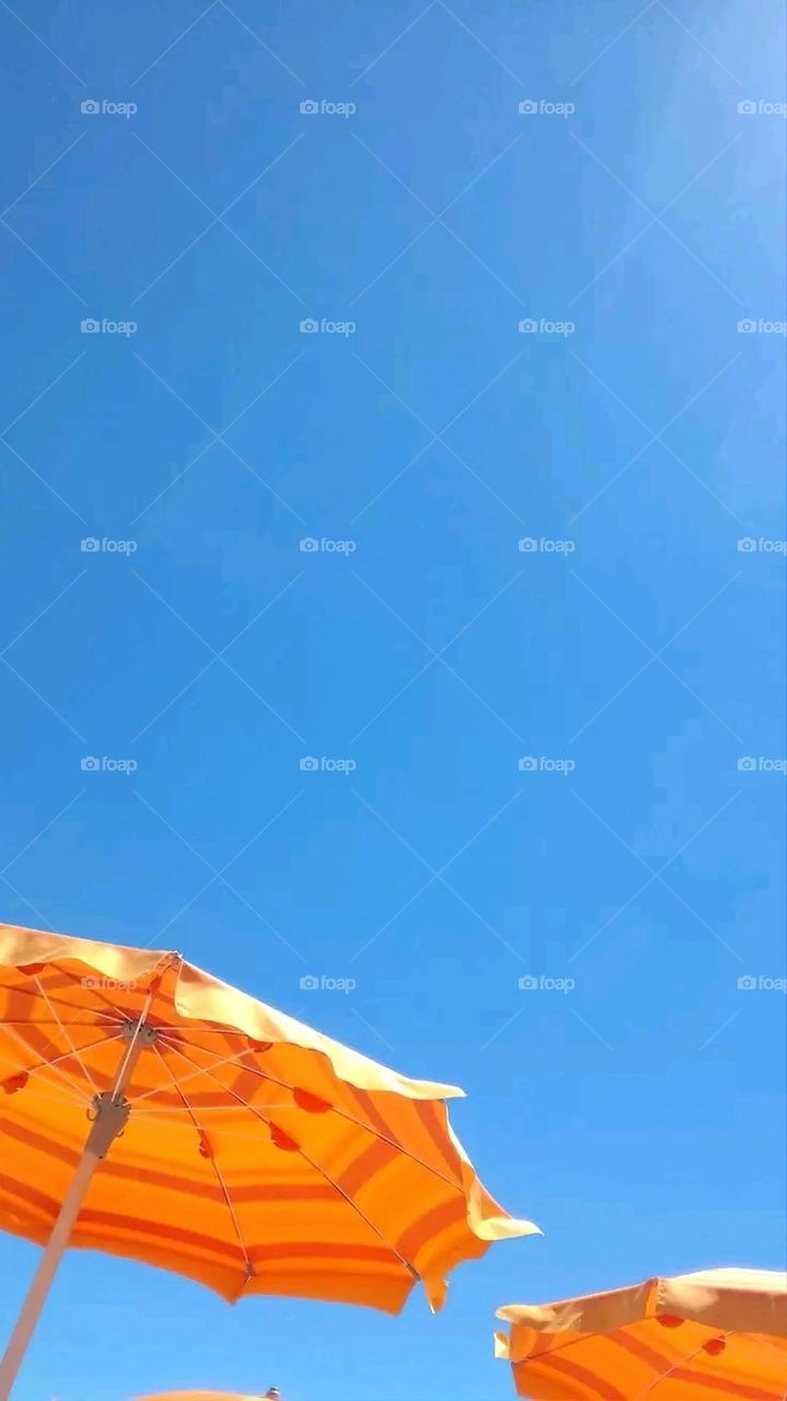 A very beautiful picture, and there is no better picture than it. There is no better picture of green herbs and colorful, red and white roses than it. Glory be to God, the natural and picturesque view, and there is no more wonderful picture than it.