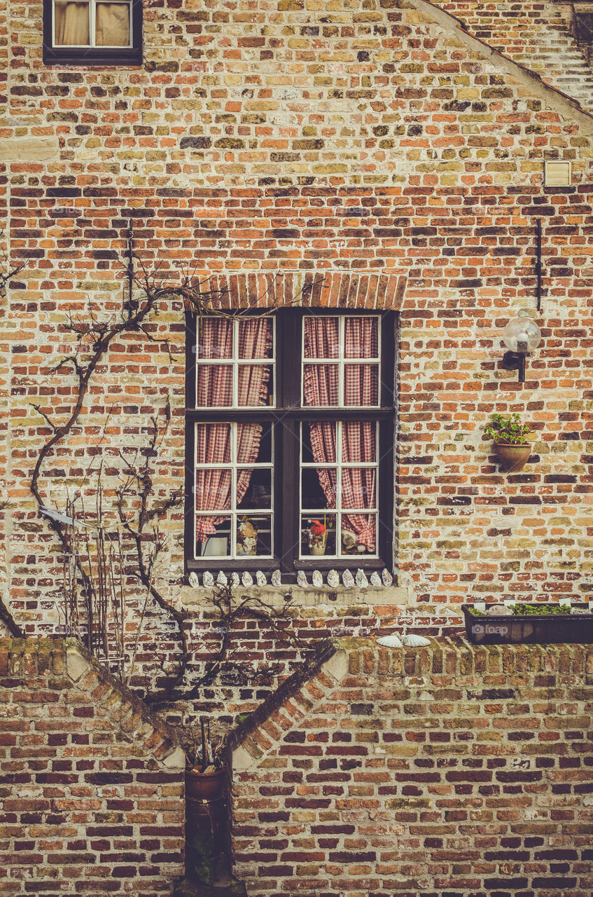brugge's window
Brugge, Belgian