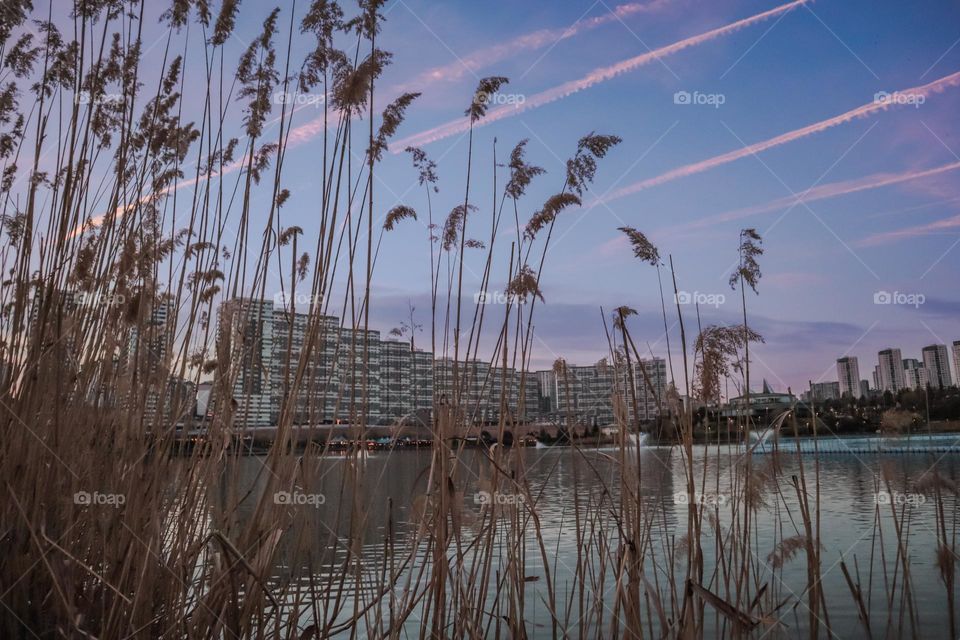 Goksu Park after the reeds