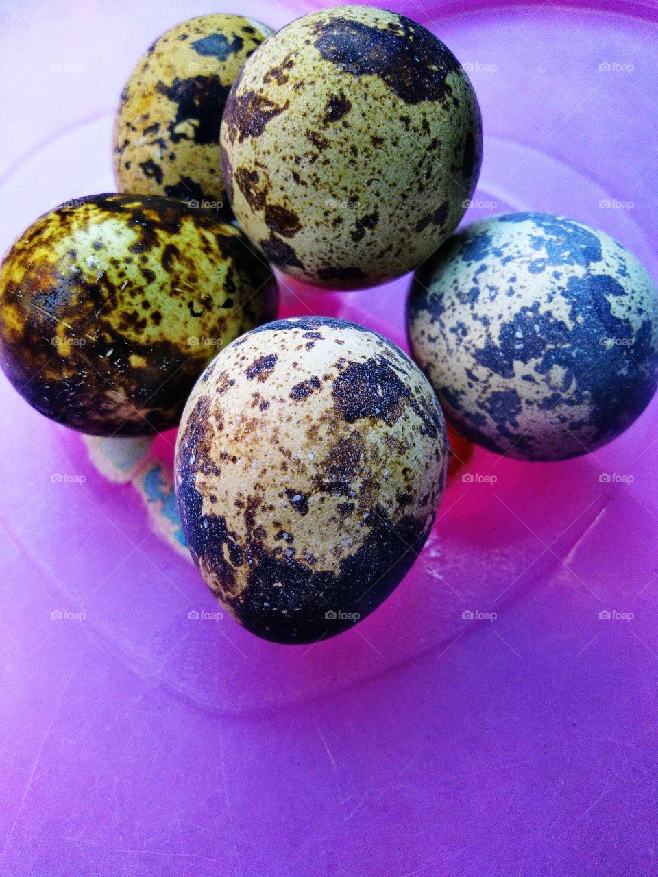quail egg measuring 9 grams contains 14 calories, 1 gram of protein, 1 gram of fat and 0 grams of carbohydrates.