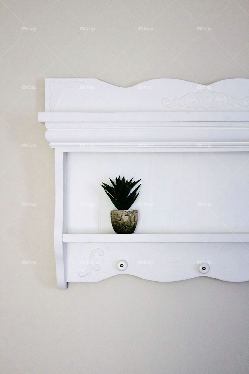 A small succulent in a stone pot on a white vintage-style shelf against a neutral colored wall - portrait