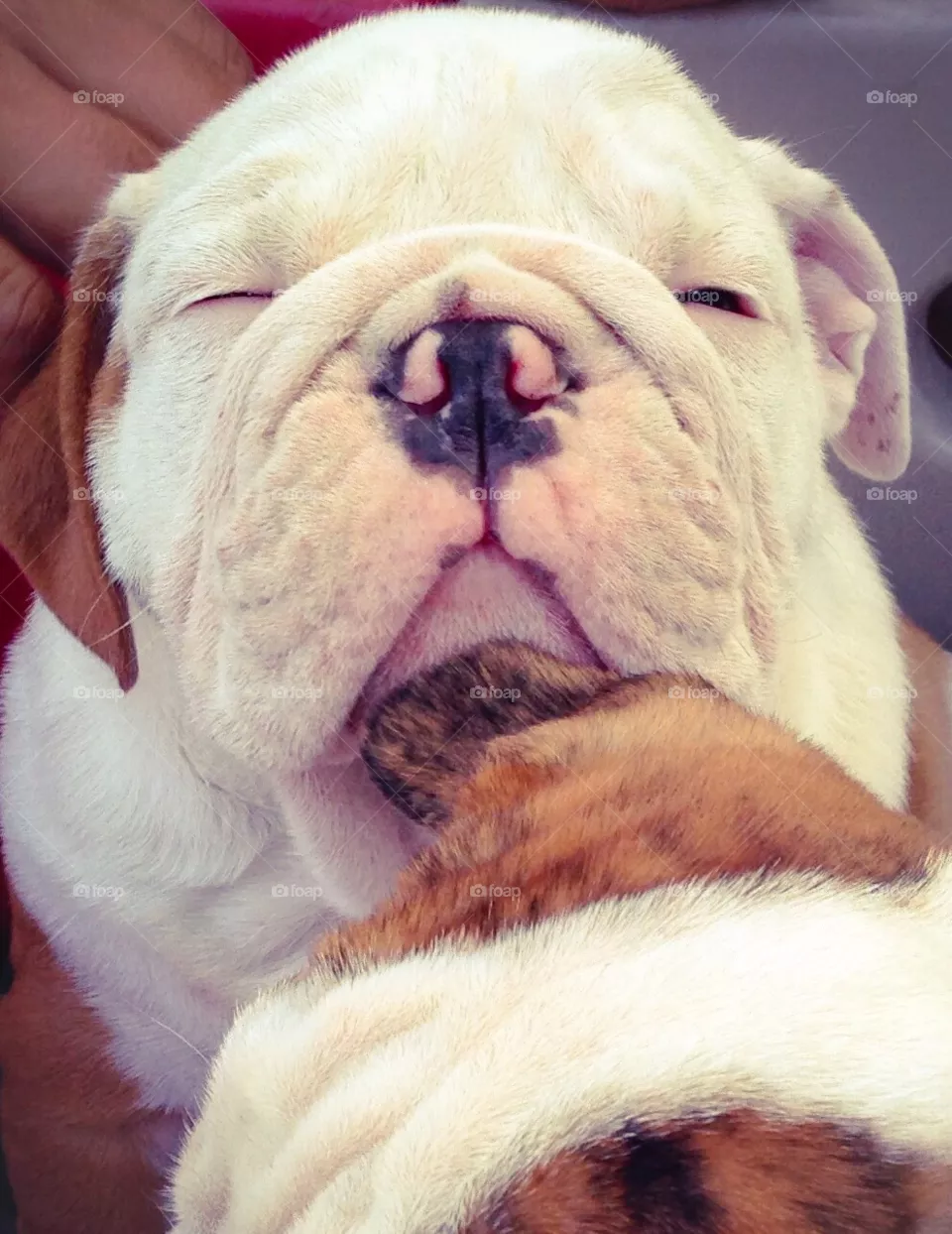 Sleepy