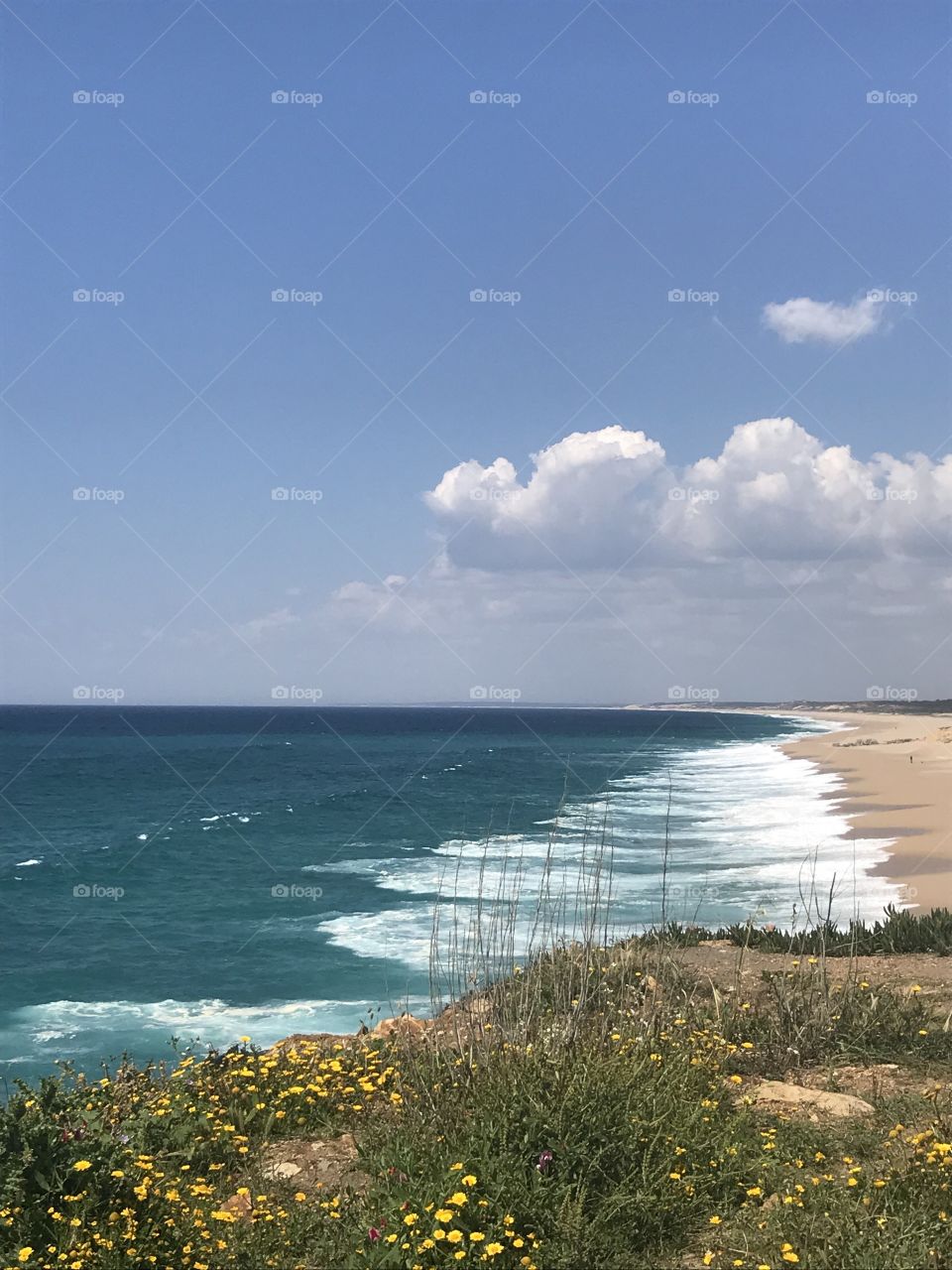 Costa do norte, Sines, Portugal 🇵🇹