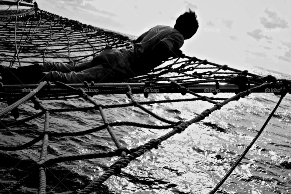 Dolphin watcher. Silhouette on a sail boat