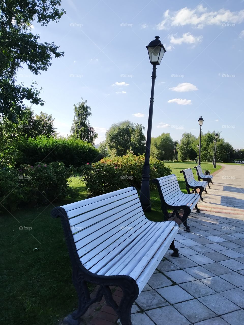 🌳🌎☁☁☁💡🌄