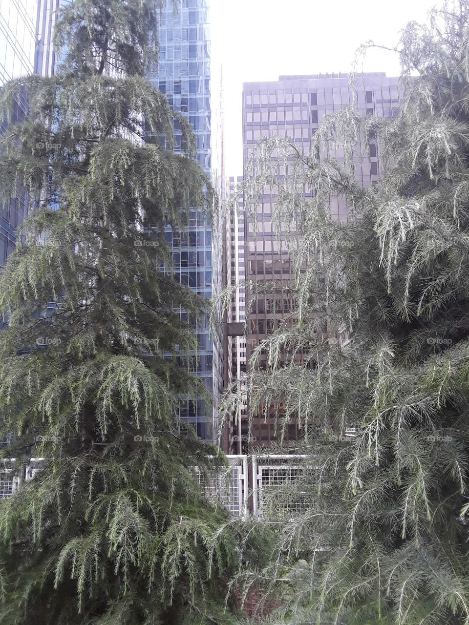 Salesforce Park San Francisco California