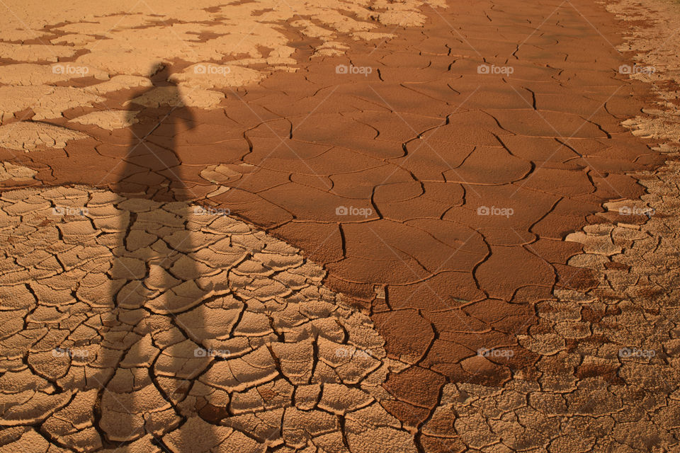 Photographer, light, shadow and natural pattern