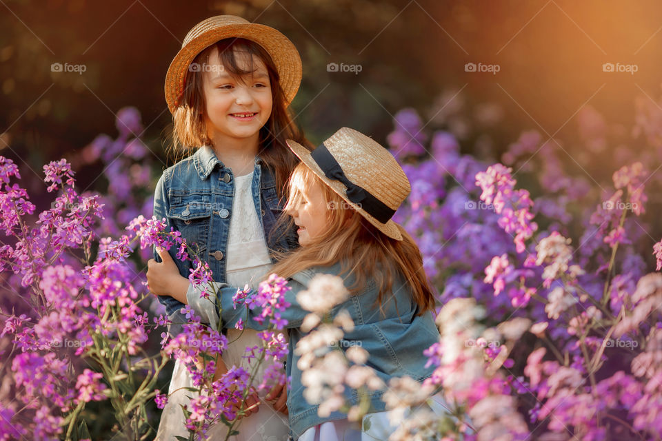 Little sisters in a blossom meadow at sunset 