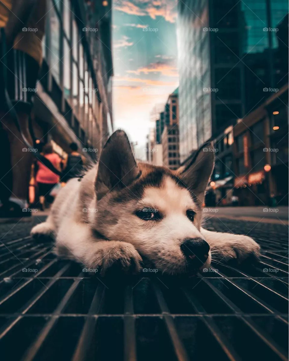 waiting