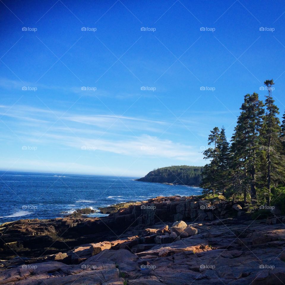 Acadia National Park