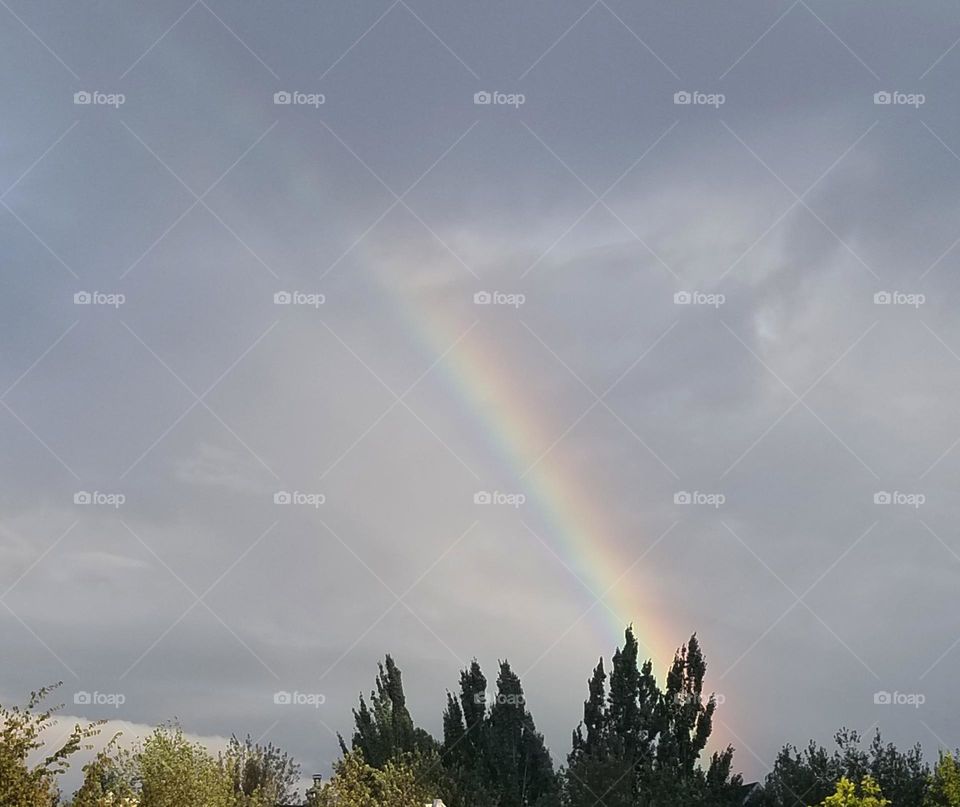 Rainbow over trees in dark gray Pacific Northwest sky