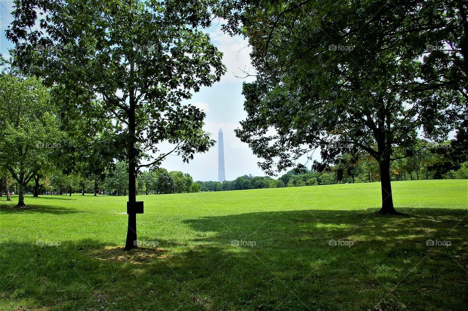 Washington Monument in shade