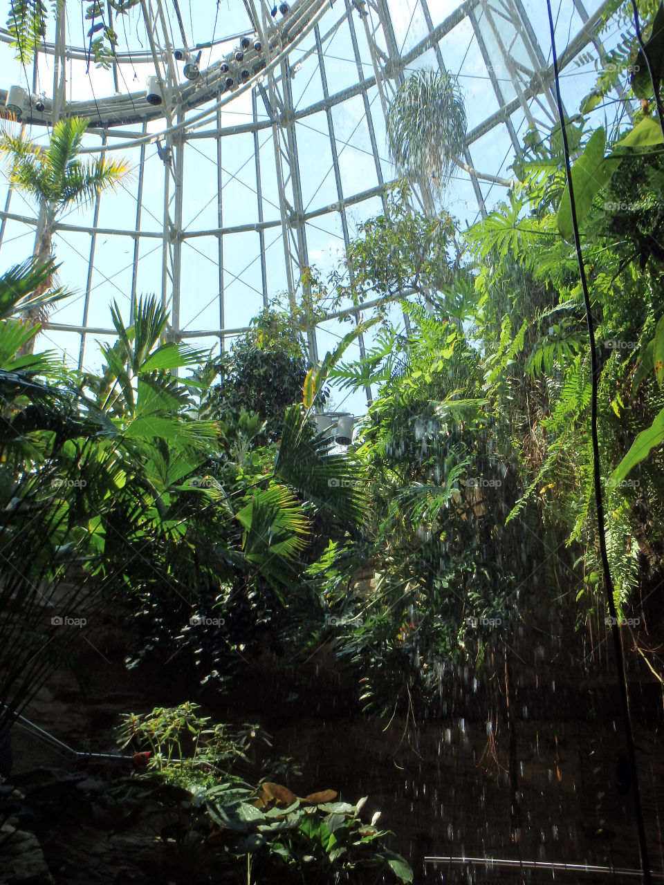 Cockrell Butterfly Center