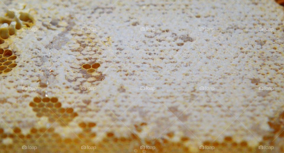Raw Honey Comb