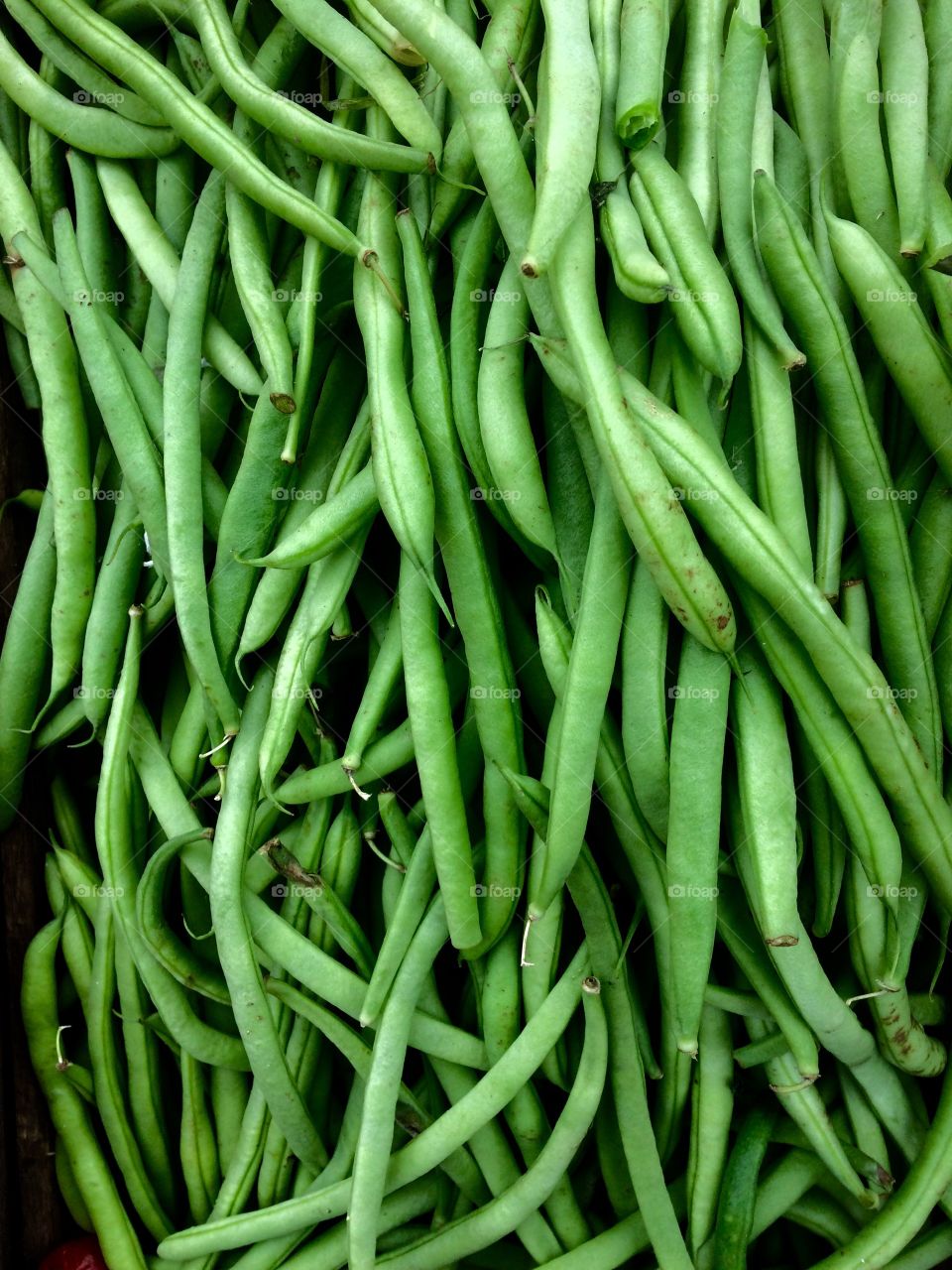 Market green beans 