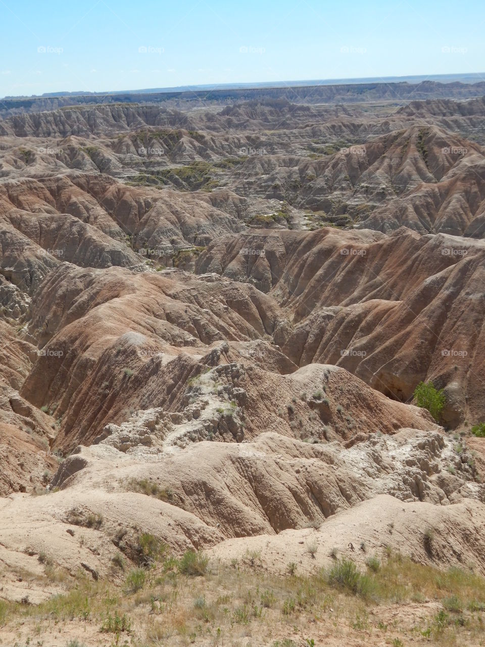Amazing nature in the Badlands