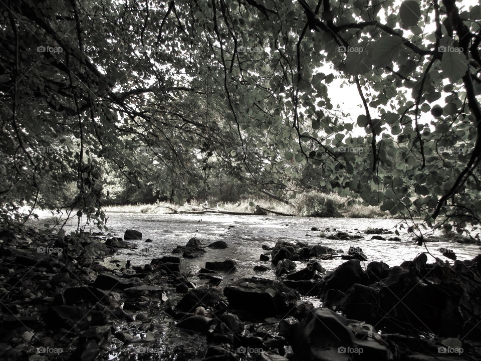 Autumnal River Exe