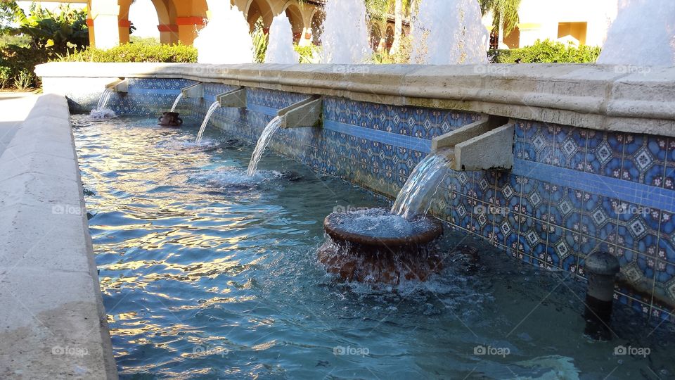 Water! Fountain in Florida