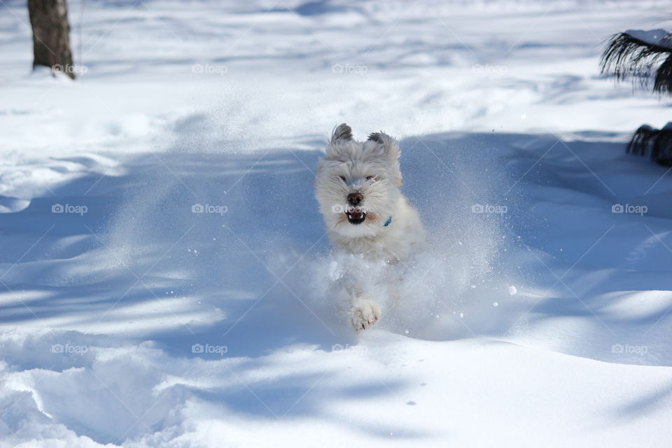 running in snow