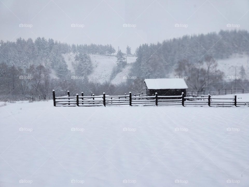 White winter outside