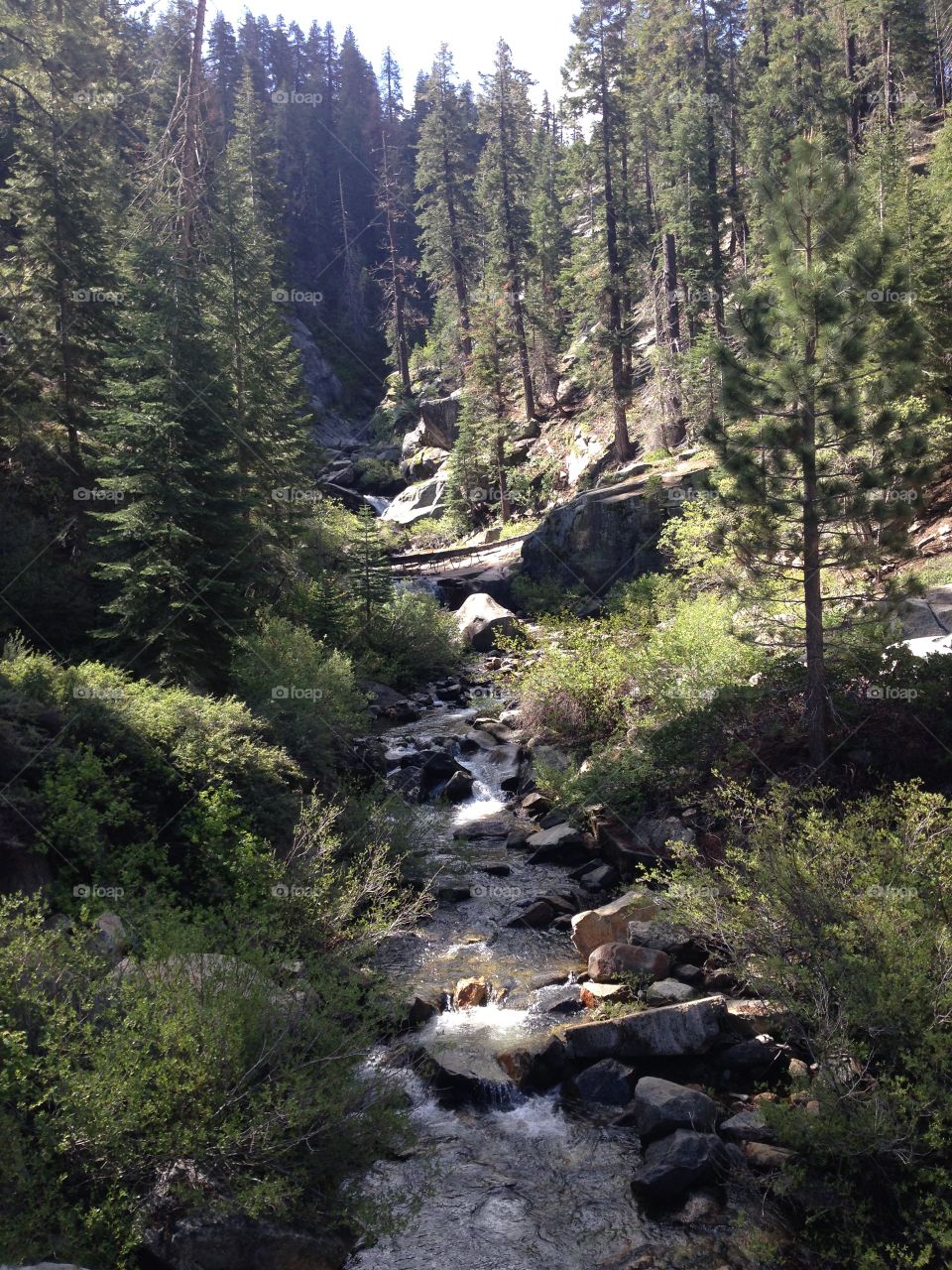 Stream at Sequoia National Park . Stream, Sequoia National Park