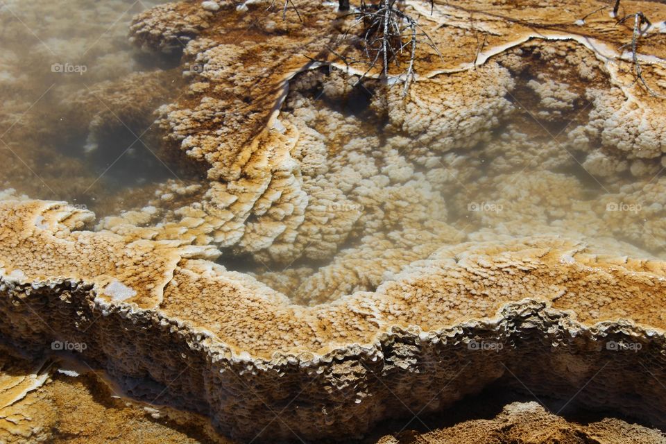Close up of bacteria and formations from volcanic pool