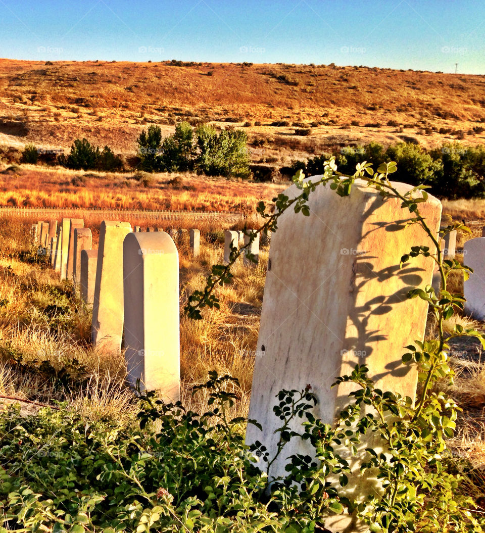 october fall usa graves by quick711