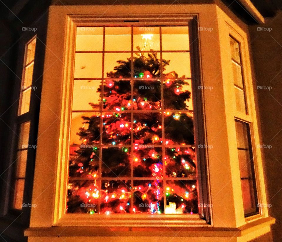 Christmas tree in a warm home