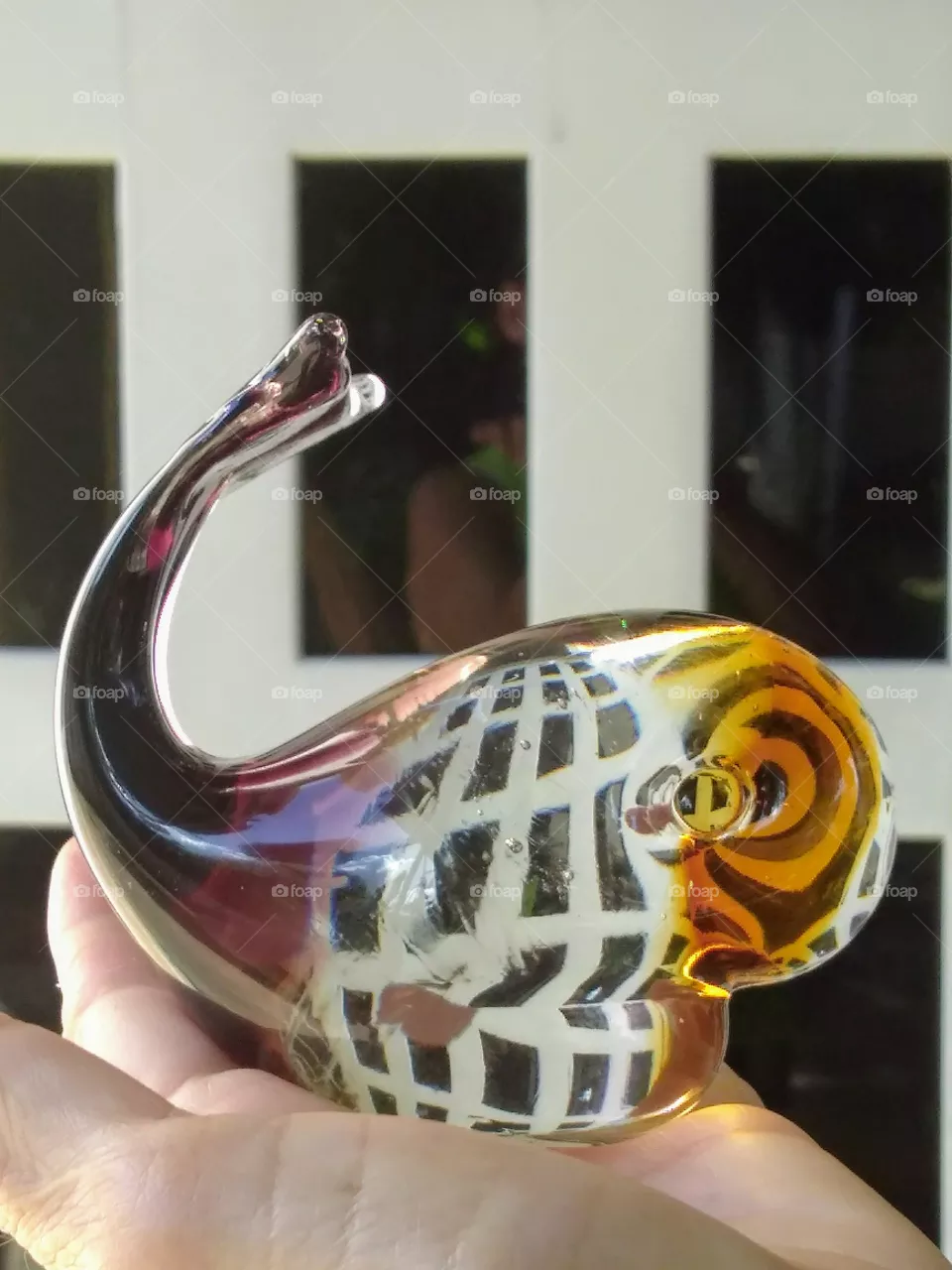 glass
