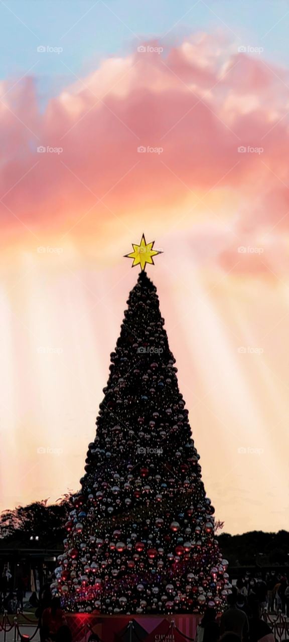 beautiful christmas tree and sky