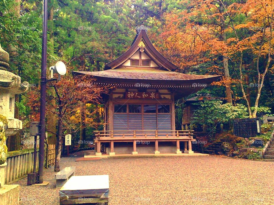 A Japanese temple in the mountains