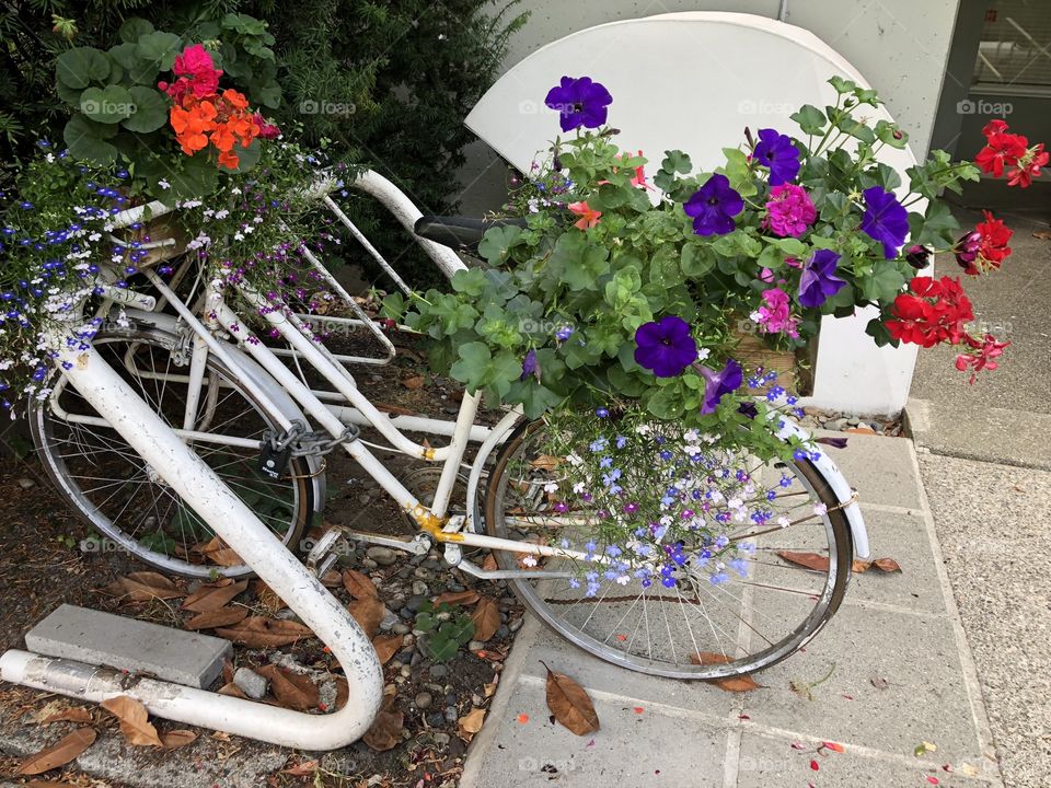 Flower bike 