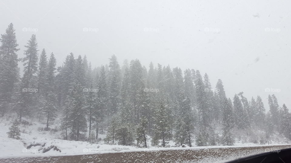 its that time of year again!!