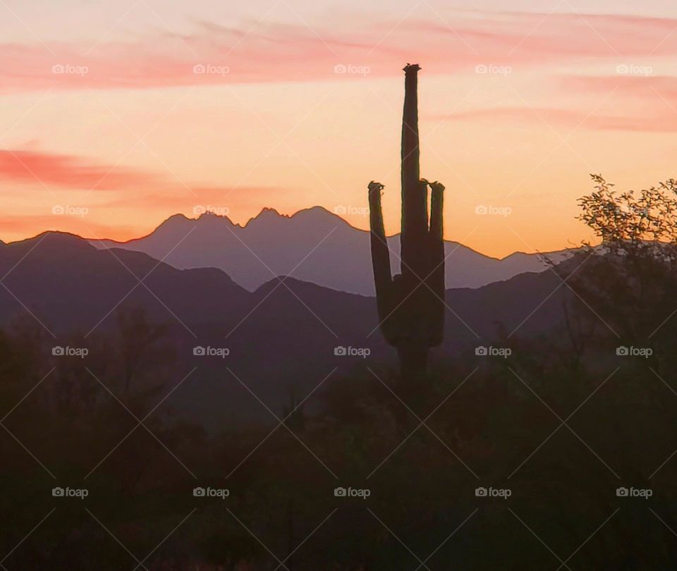 Sunrise in Tonto National Forest