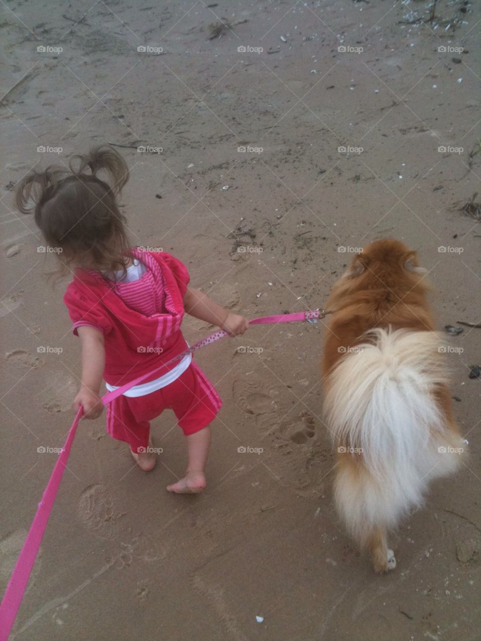 Beach Buddies. My daughter and my dog, walking on the beach.  Lake Huron