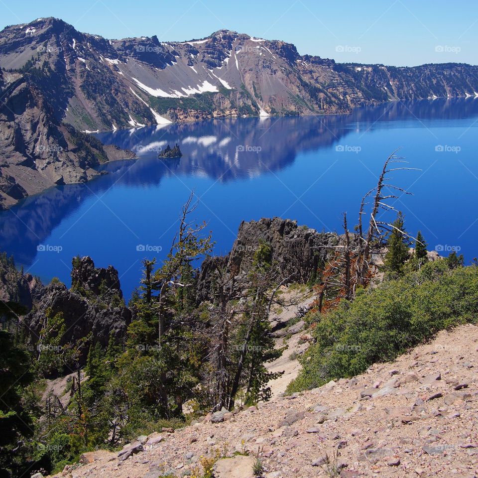 A cove seen through beautiful fir trees at Crater Lake National Park in Southern Oregon on a sunny summer morning. 