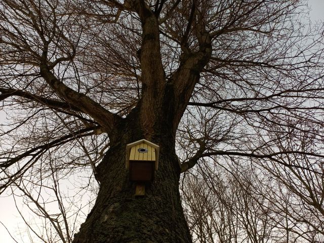 birdhouse