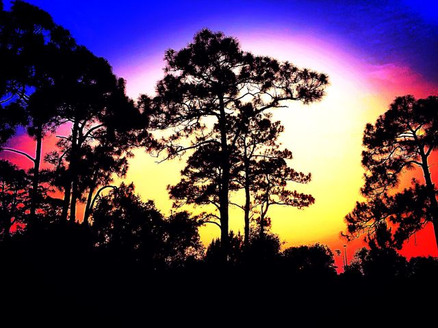 Colors