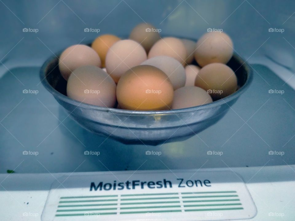 fresh egg