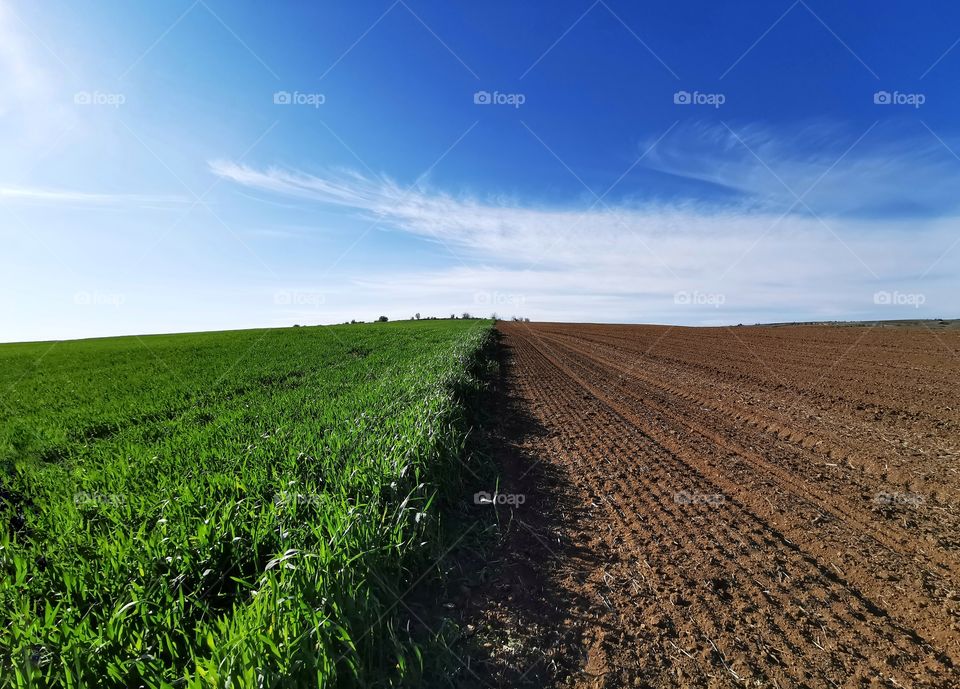 Border of two fields
