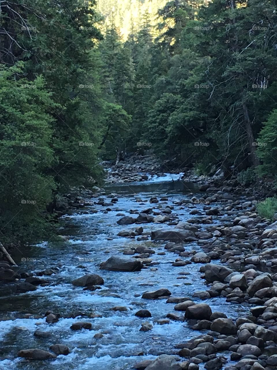 Merced River