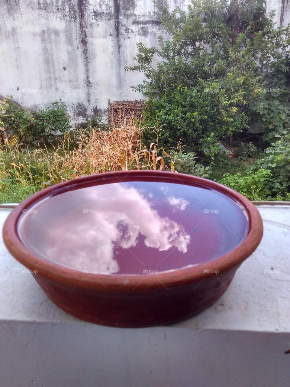 creative, whole sky is in one bowl, beautiful, RGB