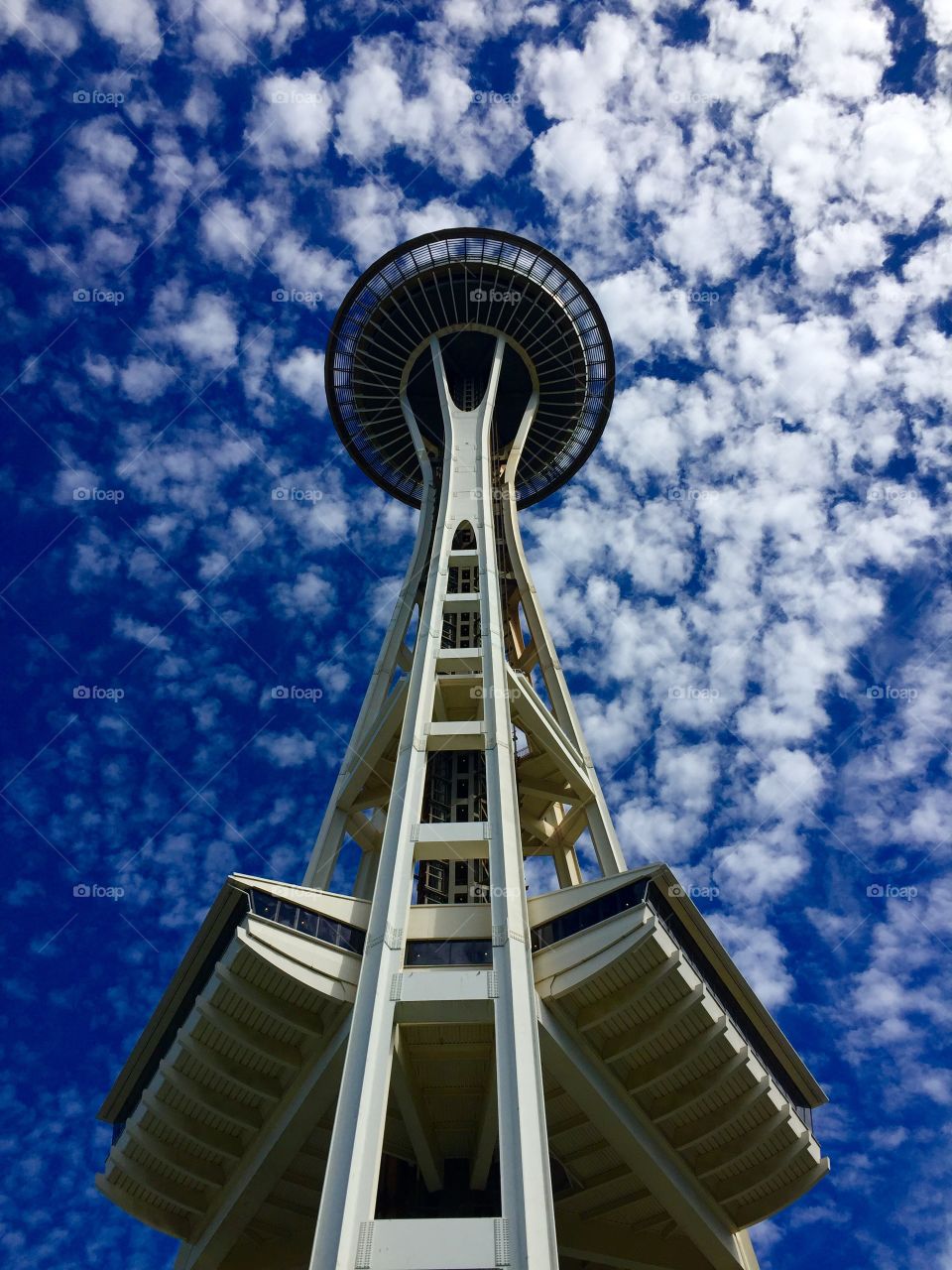 The Space Needle 